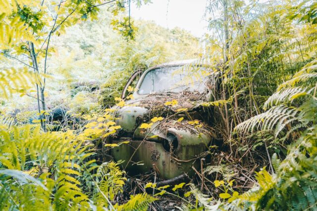 Perdu dans la végétation … 🌿💚

Website : ledecay.com
Flickr : flickr.com/le_decay
Facebook : fb.com/ledecay.photographie

#urbex #decay #abandoned #cars #abandonedcar